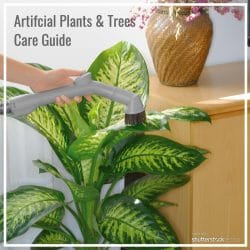 Artificial Plants & Trees Care Guide