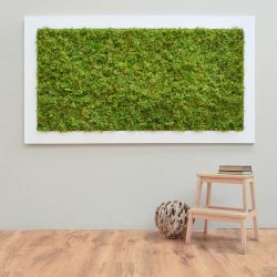 Artificial moss panel framed on wall