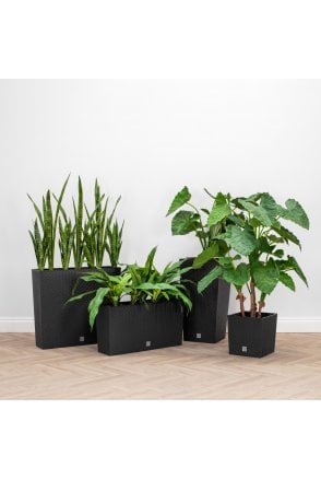 Anthracite Indoor & Outdoor Trough