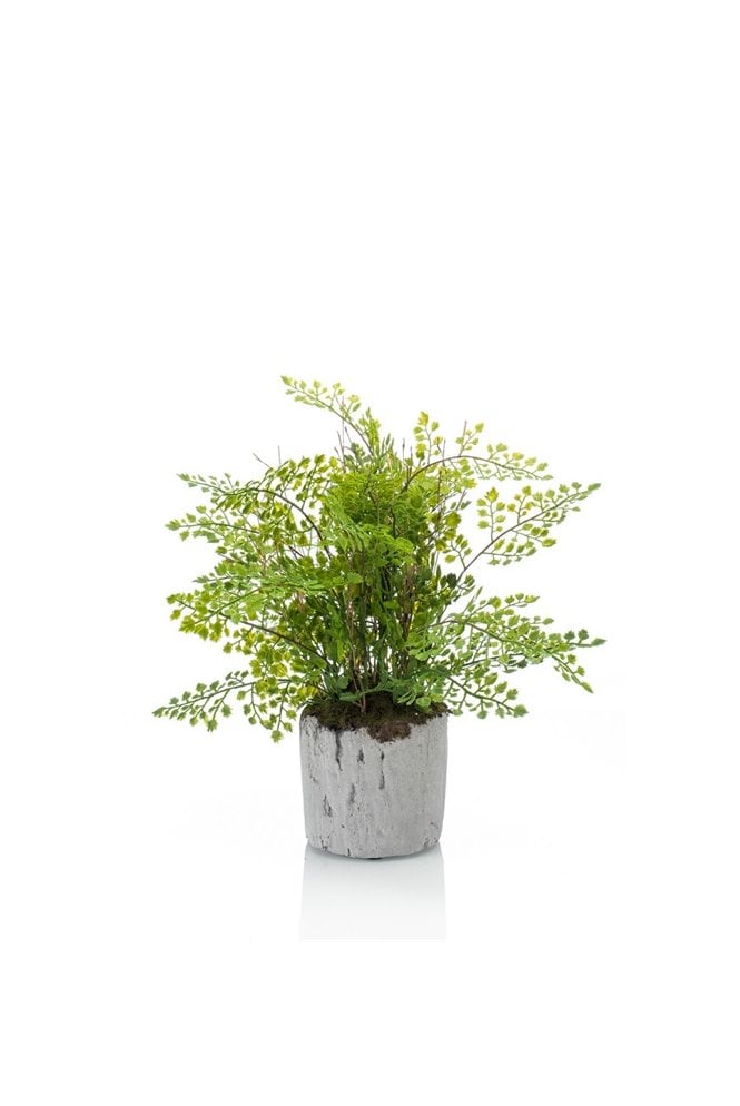 Artificial Adianthum Fern