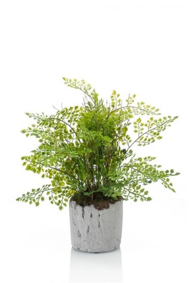 Artificial Adianthum Fern