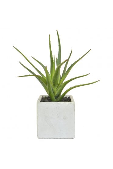 Artificial Aloe in Cement Pot