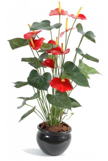 Artificial Anthurium 75cm