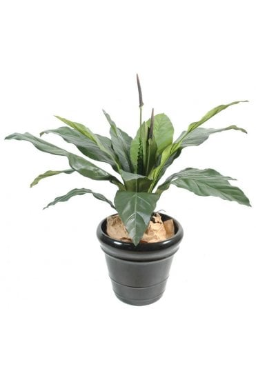 Artificial Anthurium