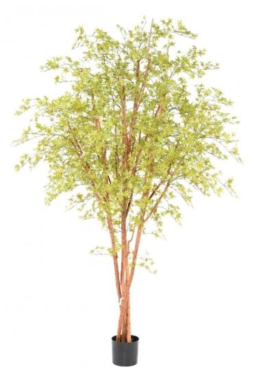 Artificial Aralia Tree 280cm UV