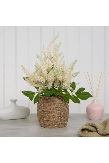 Artificial Astilbe cream Potted