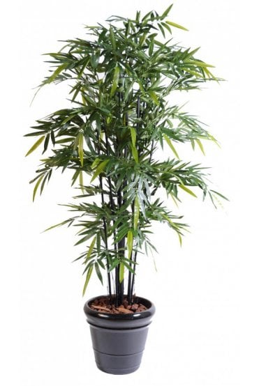 Artificial Bamboo Black Cane Type B