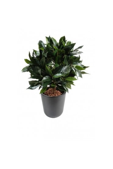 Artificial Bay Leaf Ball