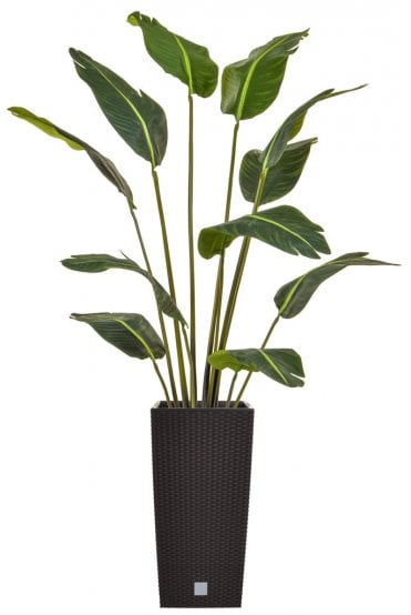 Artificial Bird of Paradise Arrangement in Black Base