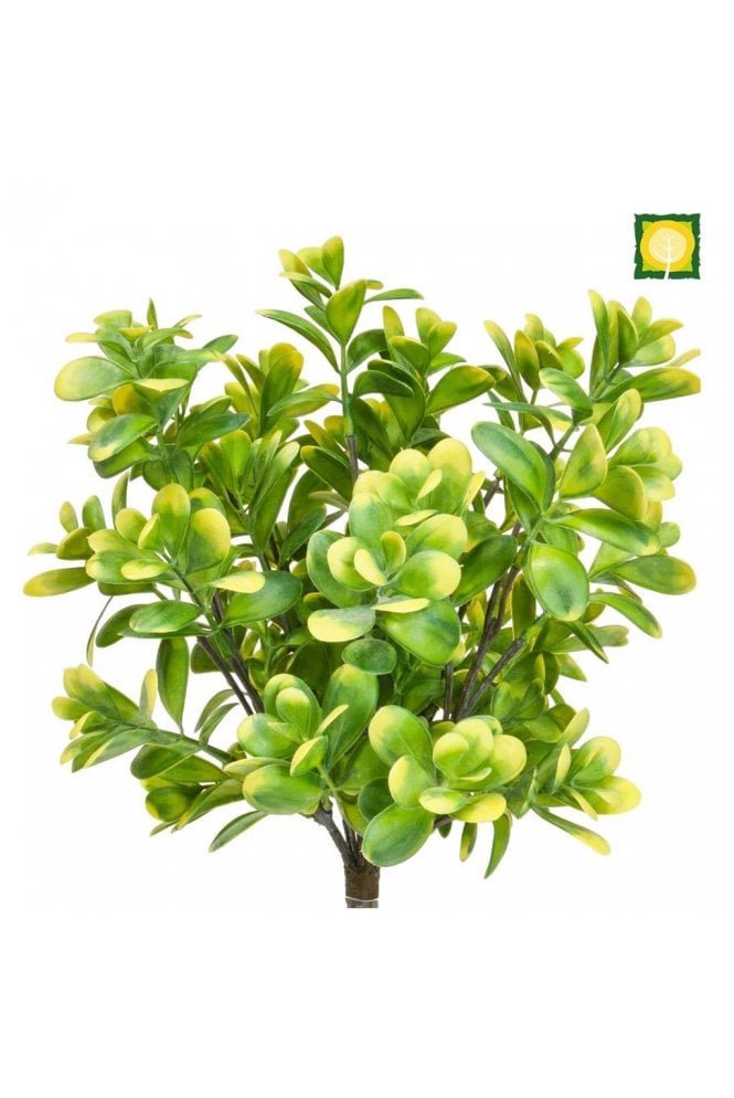 The Artificial Plants Shop Artificial Boxwood Plant UV 40cm