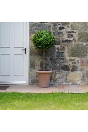 Artificial Buxus Ball Tree in Terracotta Base 1.2m