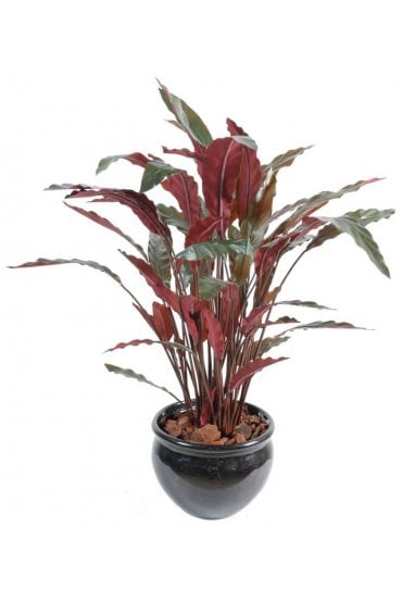 Artificial Calathea Plant Green/Red 80cm