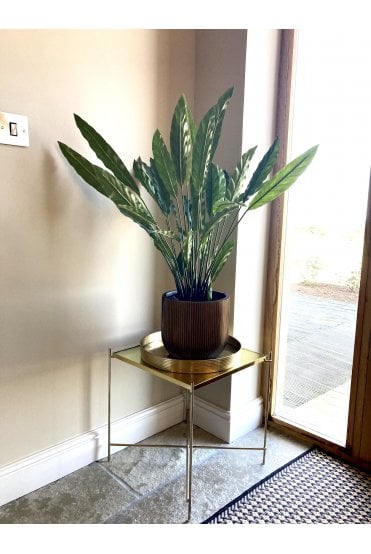Artificial Calathea Planted in Gold Round Base