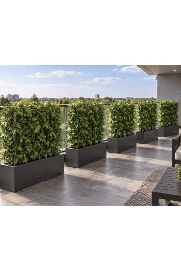 Artificial Charm Foliage Hedge