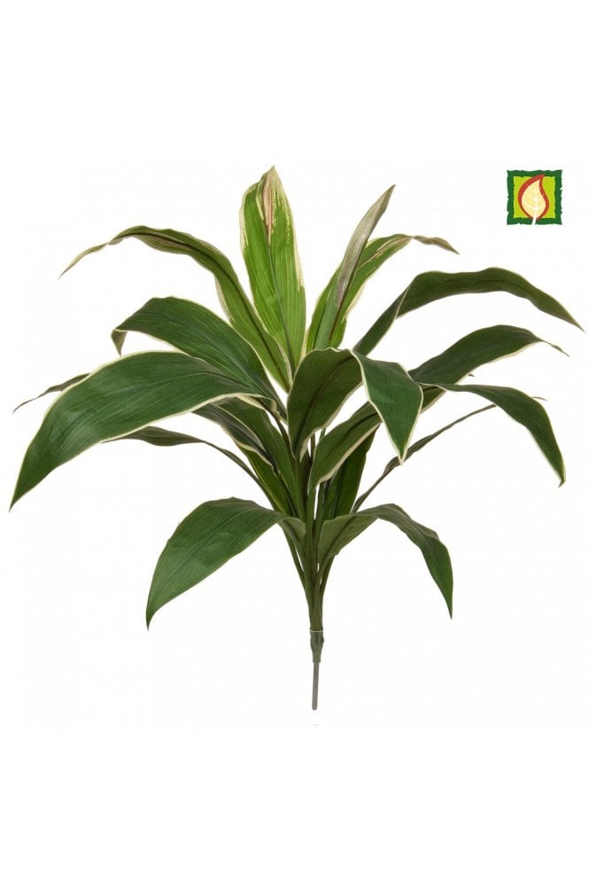 The Artificial Plants Shop Artificial Cordyline Plant Green