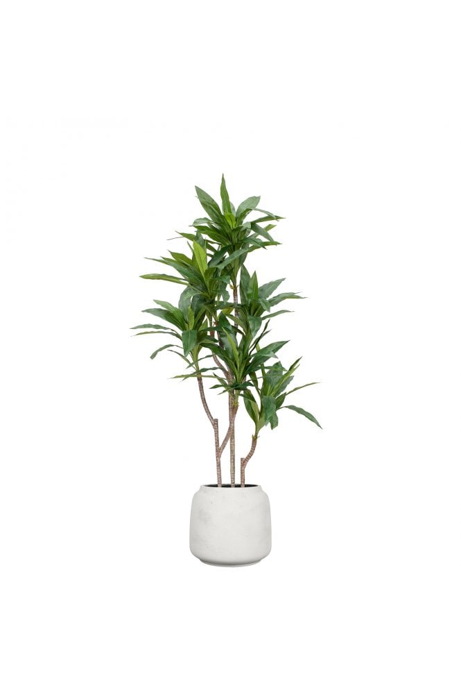Artificial Cordyline Tree in Cotswold Pot