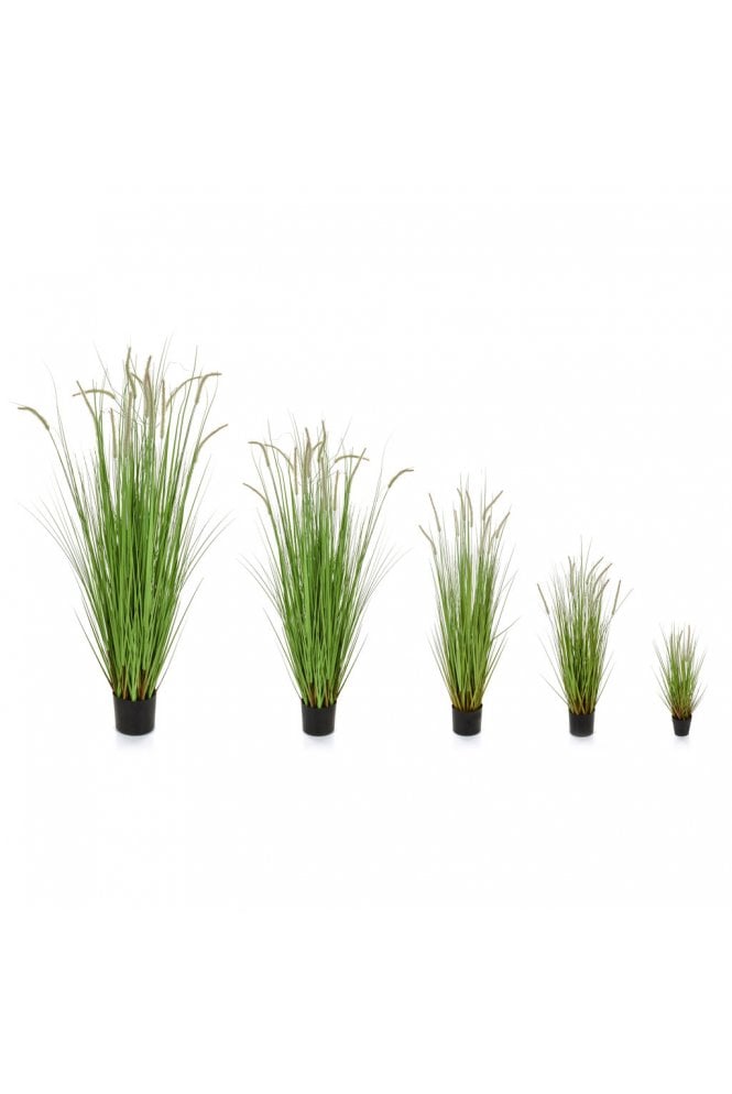 The Artificial Plants Shop Artificial Dogtail Grass 4 Size Options Flame Retardant