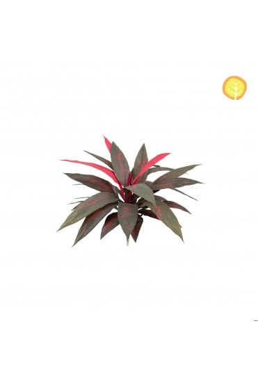 Artificial Dracaena Plant 45cm 