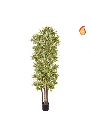 Artificial Dracaena Song of India 180cm Flame Retardant