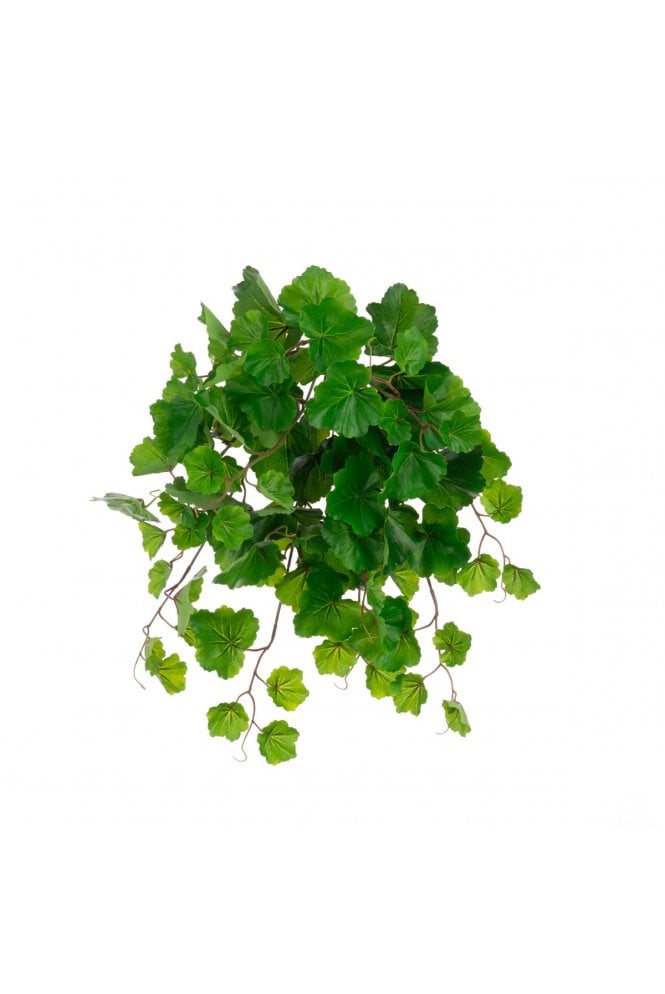 Artificial Eco Aralia Balfouriana Bush 54cm 