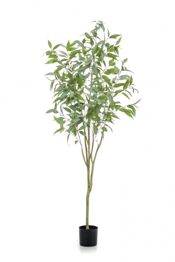 The Artificial Plants Shop Artificial Eucalyptus Globus Tree 195cm