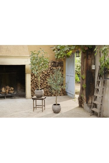 Artificial Eucalyptus Tree 115cm