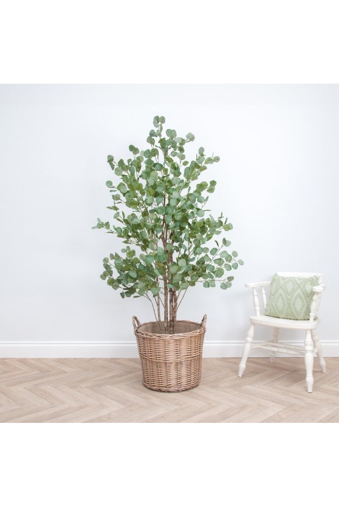 Artificial Eucalyptus Tree Natural Multi Trunk 1.8m