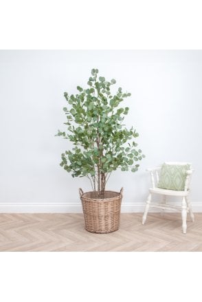 Artificial Eucalyptus Tree Natural Multi Trunk 1.8m