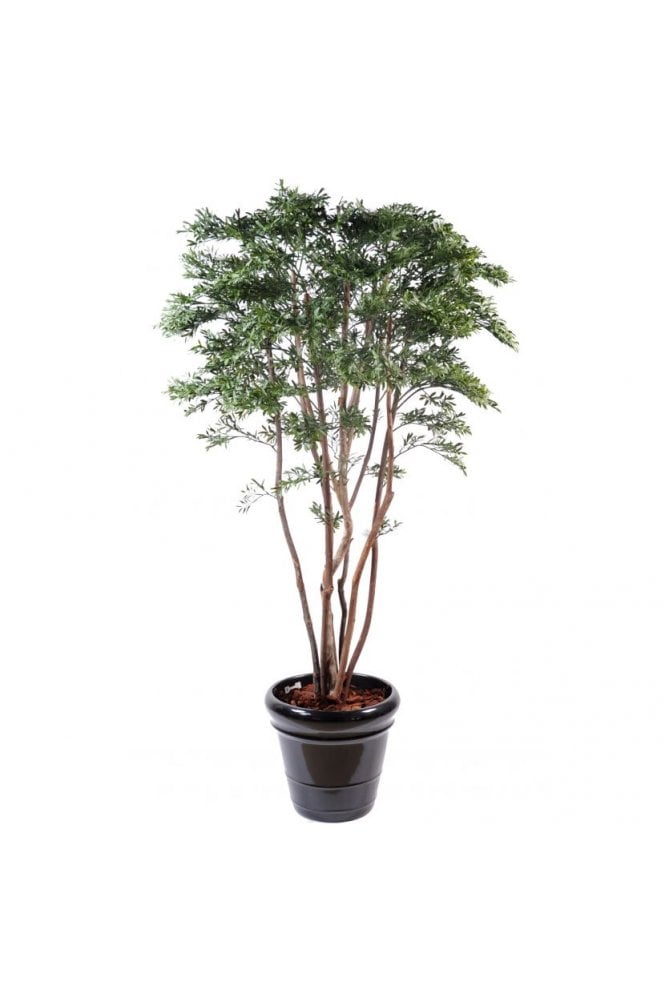 The Artificial Plants Shop Artificial Exterior Grade American Willow Tree