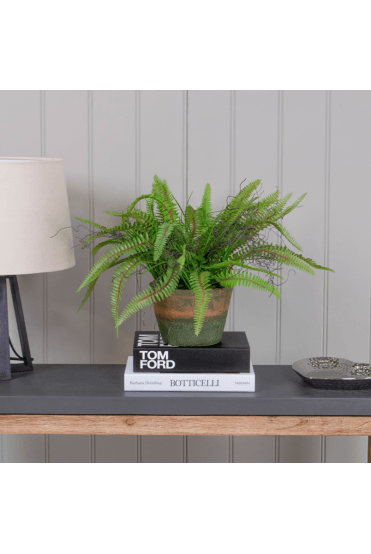 Artificial Fern in Aged Base
