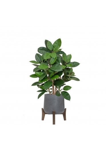 Artificial Ficus Elastica in Hanover Pot 