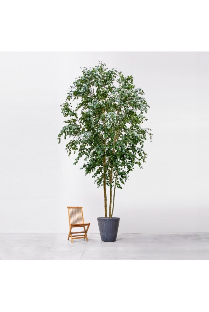 Artificial Ficus Exotica 500cm