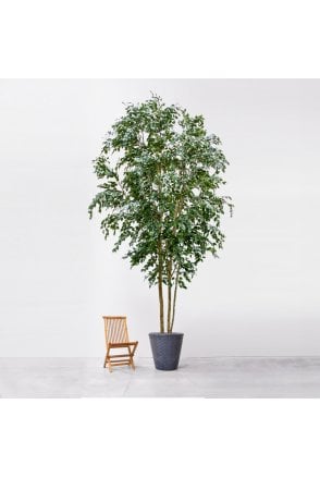 Artificial Ficus Exotica 500cm