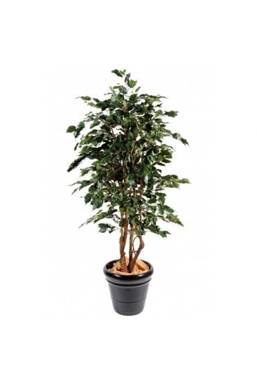 Artificial Ficus Exotica