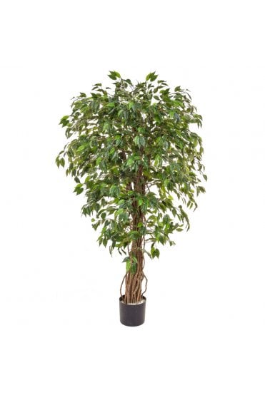 Artificial Ficus Green 150cm - Liana Trunk