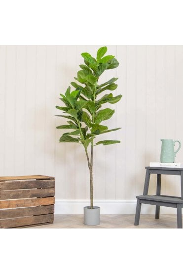 Artificial Ficus Lyrata Arrangement 150cm