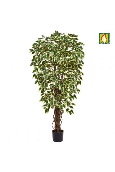 Artificial Ficus Tree Flame Resistant Variegated (IFR)