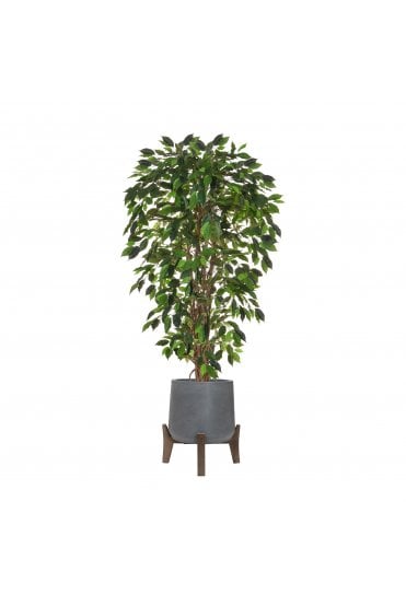 Artificial Ficus Tree Potted in Footed Planter 170cm Flame Retardant
