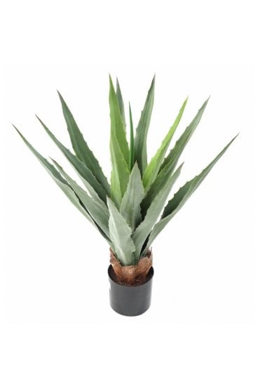 Artificial Furcraea Succulent Green 80cm