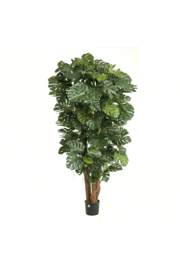 Artificial Giant Split Philo 250cm Tall