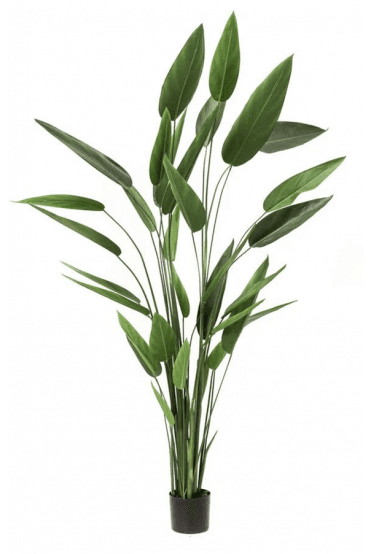 Artificial Heliconia 220cm Tall