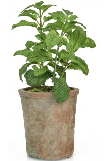 Artificial Herb - Mint Plant