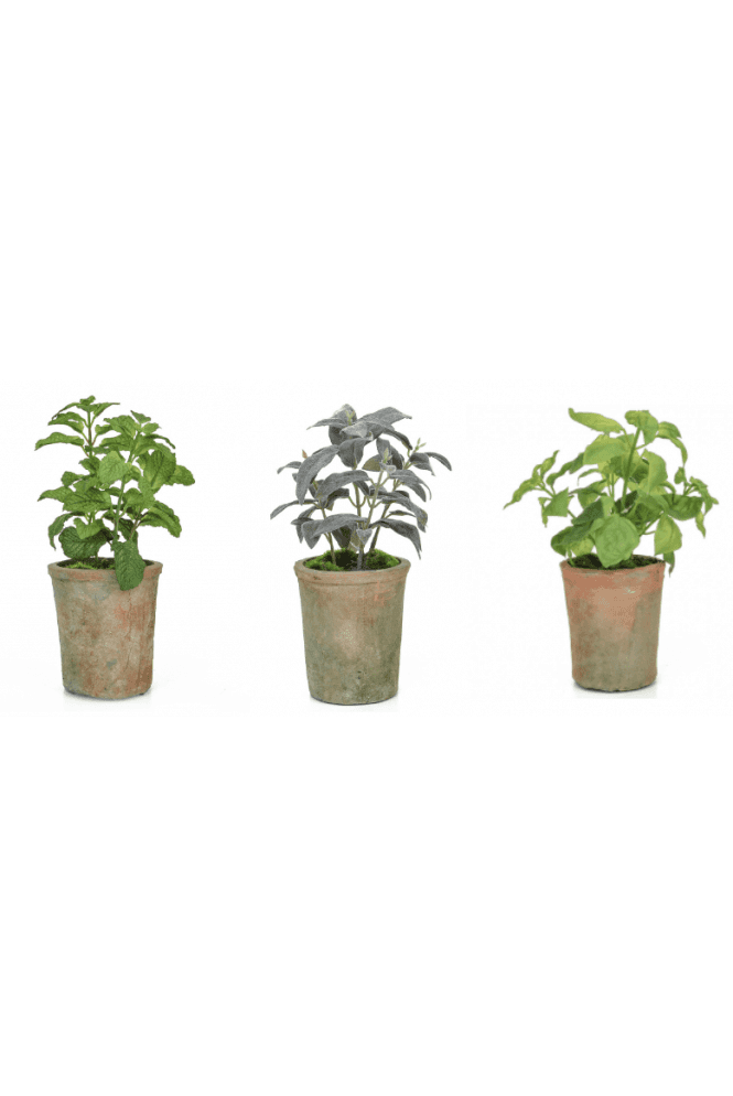 Artificial Herbs Set of 3