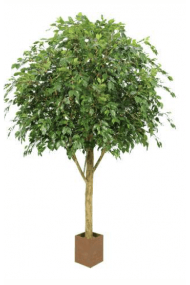 Artificial IFR Ficus Tree Green