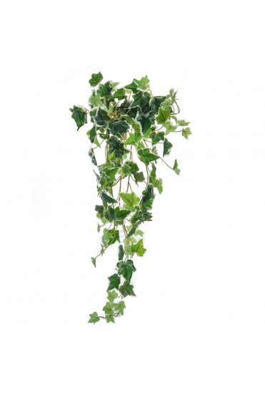 Artificial Ivy Variegated 70cm