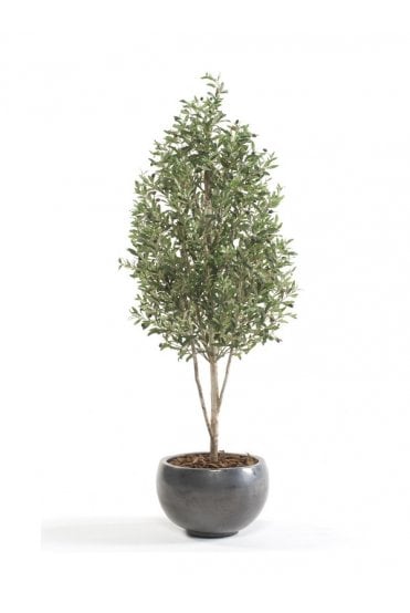 Artificial Olive Pyramid Tree (170cm)