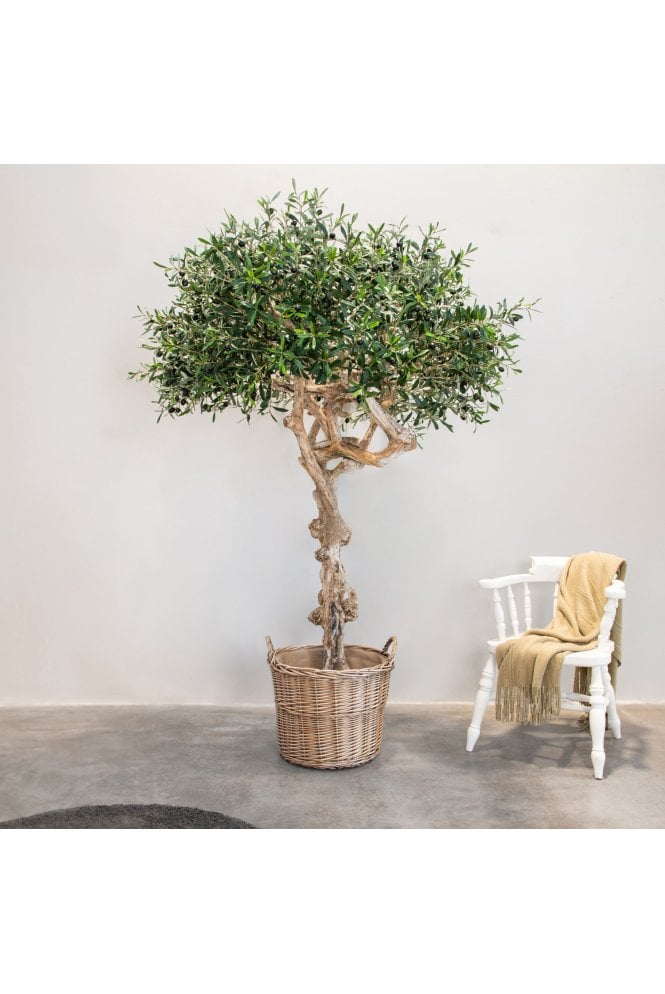 Artificial Olive Tree Coffee Wood Trunk 200cm Flame Retardant