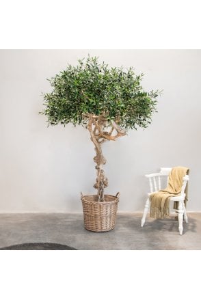Artificial Olive Tree Coffee Wood Trunk 200cm Flame Retardant