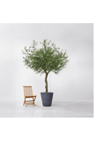 Artificial Olive Tree IFR 2.3m tall