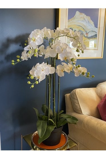 Artificial Orchid Arrangement 110cm Tall